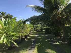 Punatea Village
