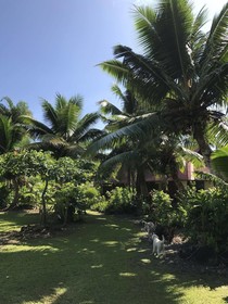 Punatea Village