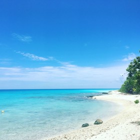 Le Fare Bleu