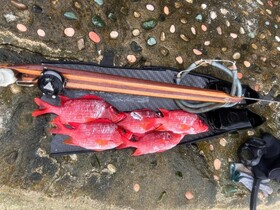 EDEN Private Island TAHA'A