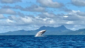 EDEN Private Island TAHA'A