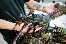 EDEN Private Island TAHA'A