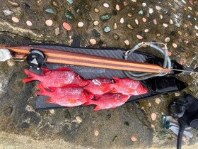 EDEN Private Island TAHA'A