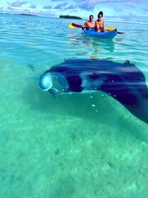 EDEN Private Island TAHA'A