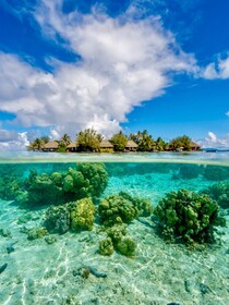 EDEN Private Island TAHA'A