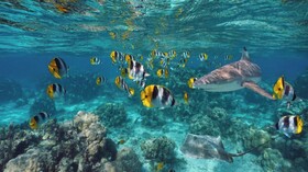 EDEN Private Island TAHA'A