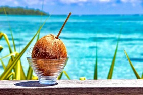 EDEN Private Island TAHA'A