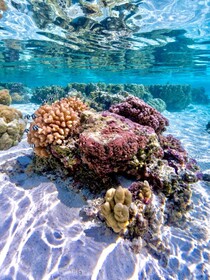 EDEN Private Island TAHA'A