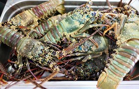 EDEN Private Island TAHA'A