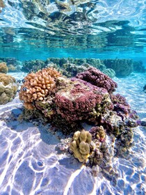 EDEN Private Island TAHA'A