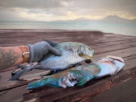 EDEN Private Island TAHA'A