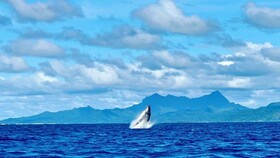 EDEN Private Island TAHA'A