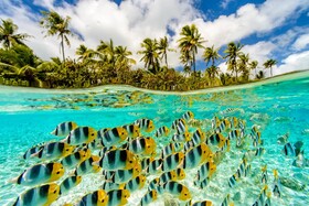 Le Taha'a by Pearl Resorts