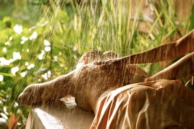 Le Taha'a by Pearl Resorts