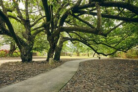 Le Taha'a by Pearl Resorts