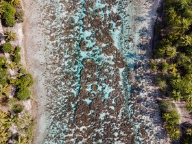 Le Taha'a by Pearl Resorts