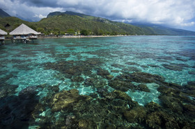 Tahiti Ia Ora Beach Resort - Managed by Sofitel