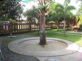 Cozy Place Resort