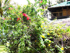 Deep Moon Resorts
