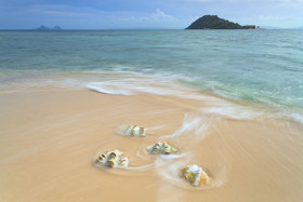 Noanoa Private Island Estate