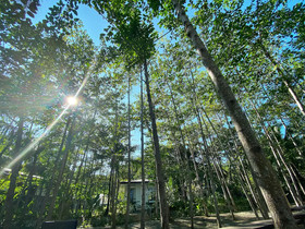 Hiraya Wellness Resort and Ecopark