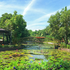 Hiraya Wellness Resort and Ecopark