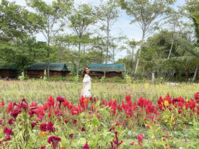 Hiraya Wellness Resort and Ecopark