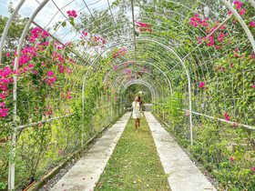 Hiraya Wellness Resort and Ecopark