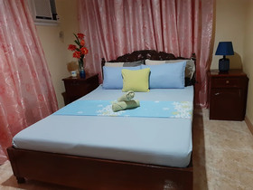 Palompon Orange Villa