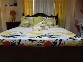 Palompon Orange Villa