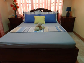 Palompon Orange Villa