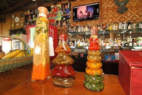 Parrot Paradise Resort