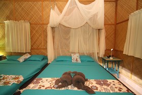 Parrot Paradise Resort