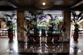 Score Birds Hotel