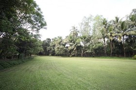 Woodland Resort