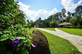 Nature's Village Resort