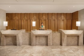 Ion Hotel