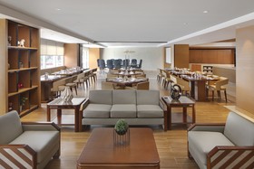Ion Hotel
