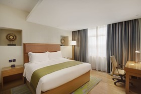 Ion Hotel