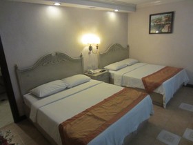 Hotel Veniz