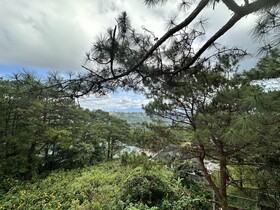 Lee Boutique Hotel Baguio