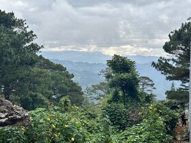 Lee Boutique Hotel Baguio