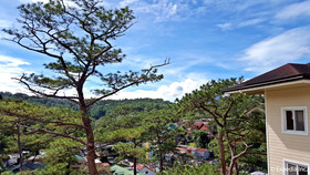 Prestige Vacation Apartments - Bonbel Condominium