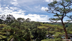 Prestige Vacation Apartments - Bonbel Condominium