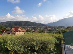 Zya Duplex Homes