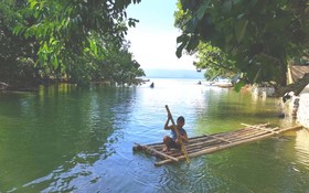 Nature Green Forest Resort