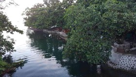 Nature Green Forest Resort