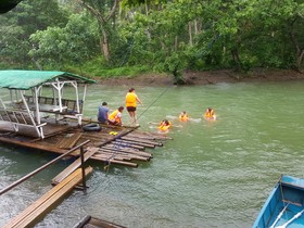 Nature Green Forest Resort