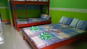 Nature Green Forest Resort