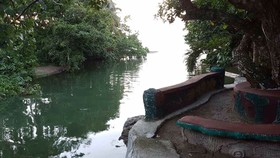 Nature Green Forest Resort